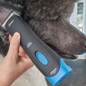 oster cordless dog clippers