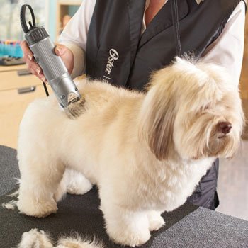 top rated dog clippers